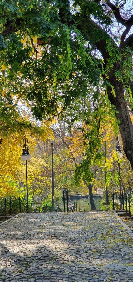 Sweet Dreams Cismigiu Gardens Appartement Bucarest